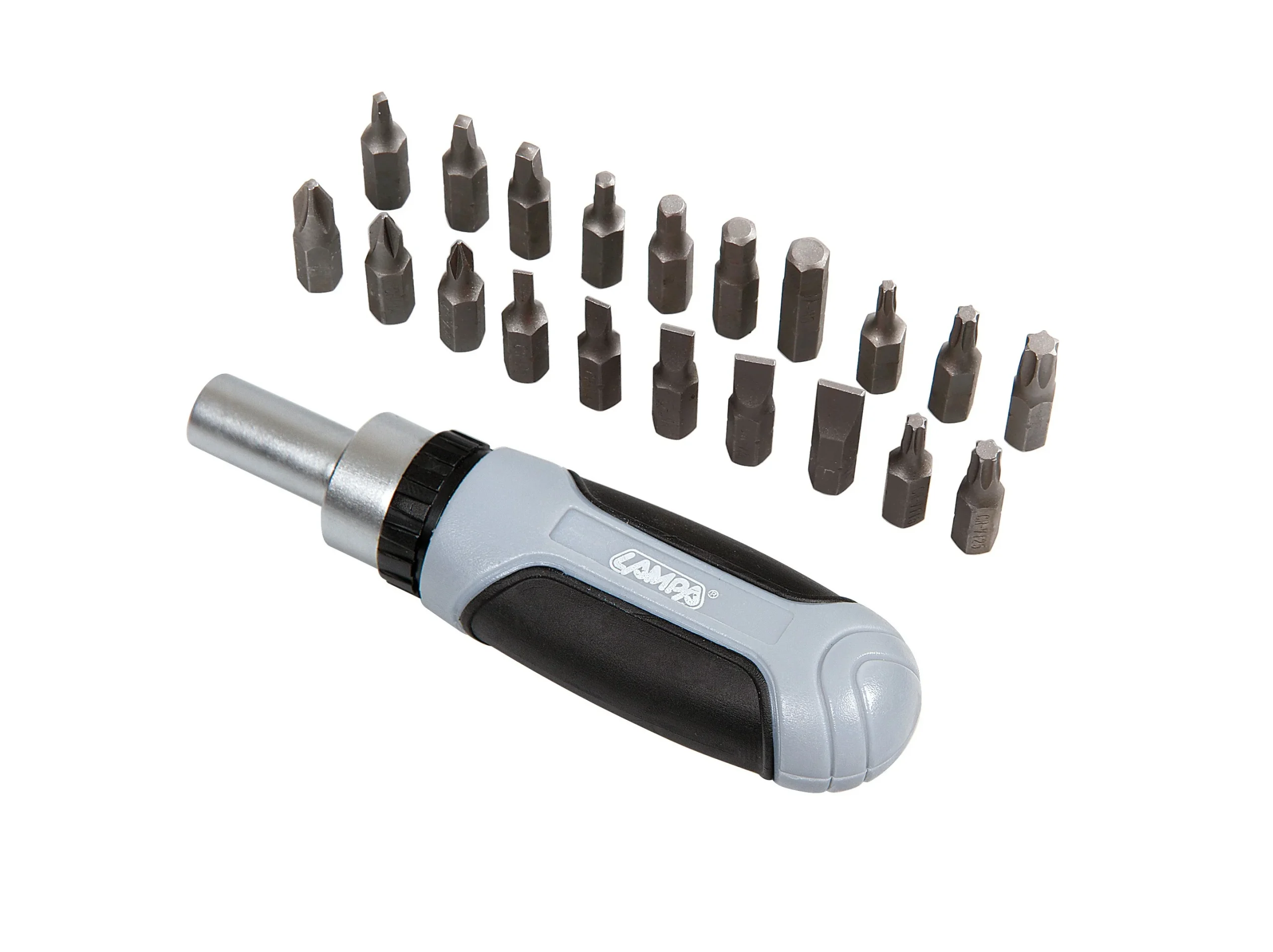 Screwdriver set with inserts, 21 pcs