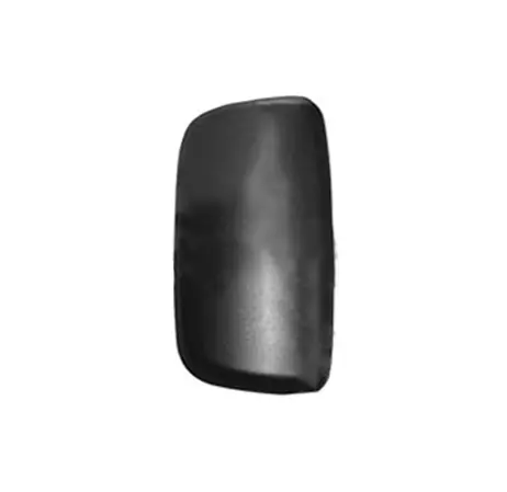 Calotta Specchio Grande Daf XF