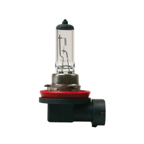 Lampadina H11 – 24V – 70W